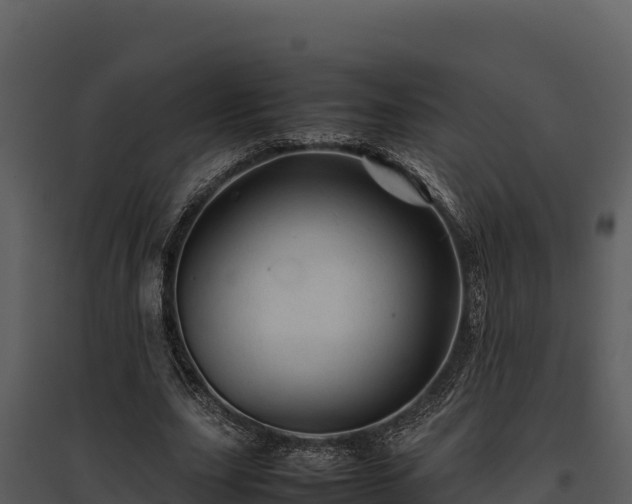 X0000095690631200801151149