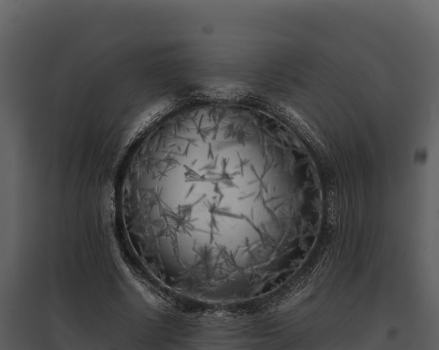 X0000095690634200801151149