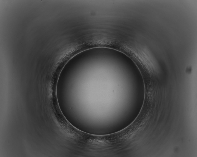 X0000095690635200801151149
