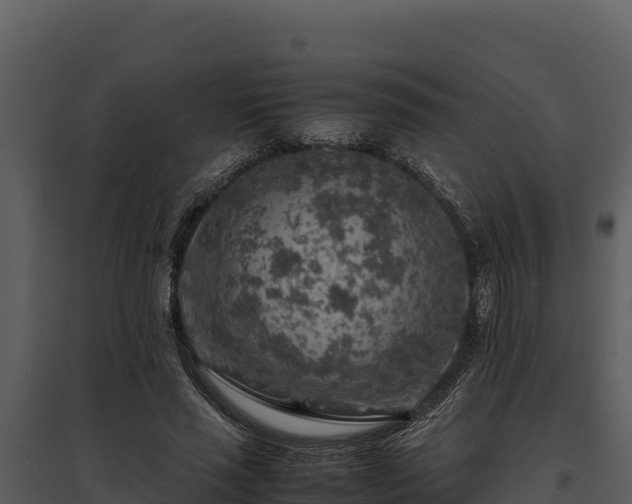 X0000095690637200801151149