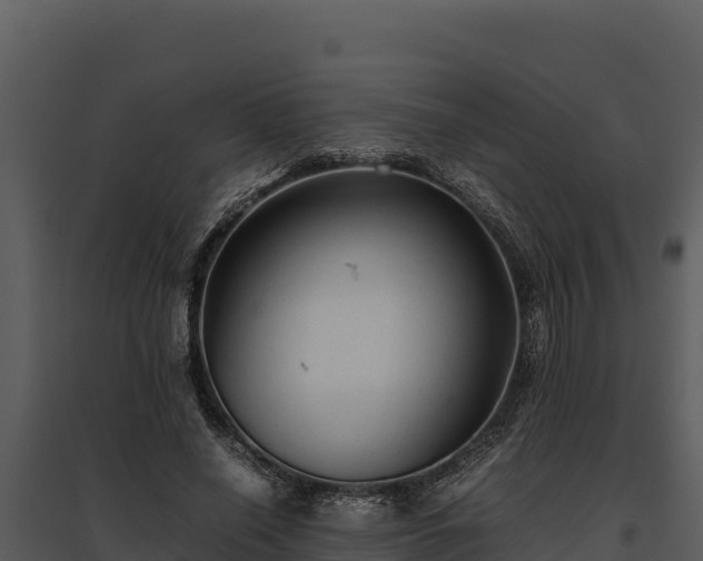 X0000095690638200801151149