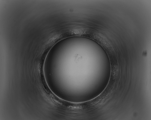 X0000095690639200801151149