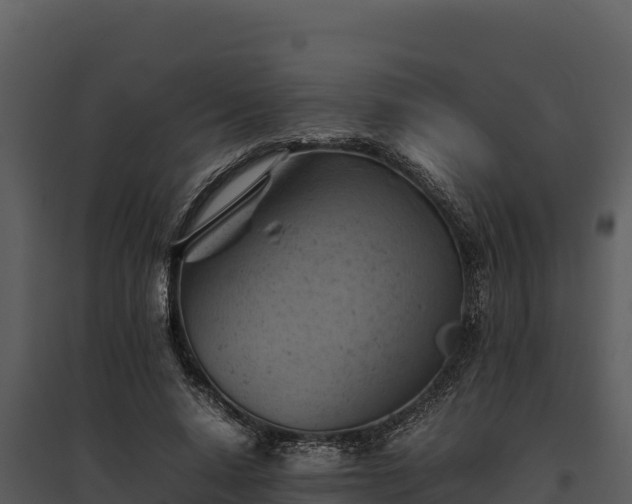 X0000095690640200801151149