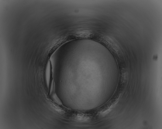 X0000095690641200801151149