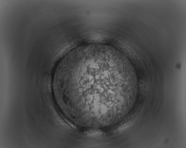X0000095690642200801151149