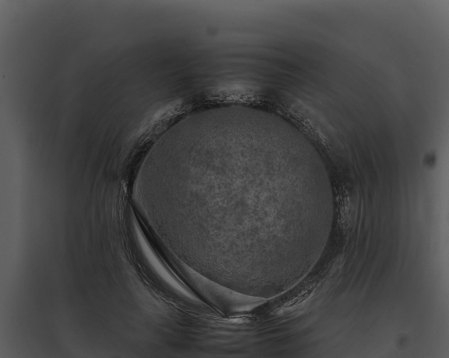 X0000095690643200801151149