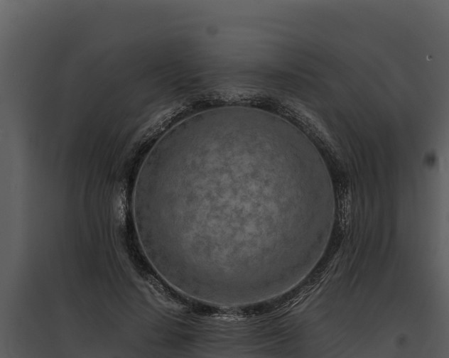 X0000095690644200801151149