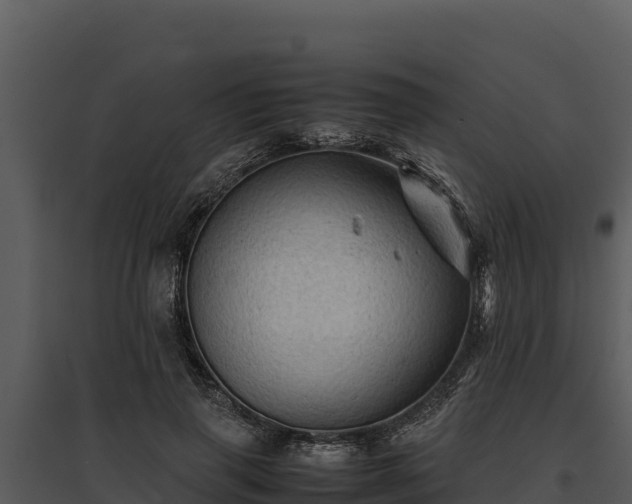 X0000095690645200801151149