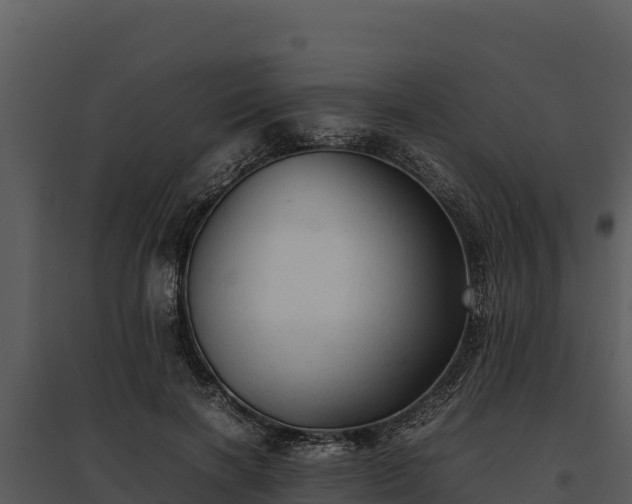 X0000095690646200801151149