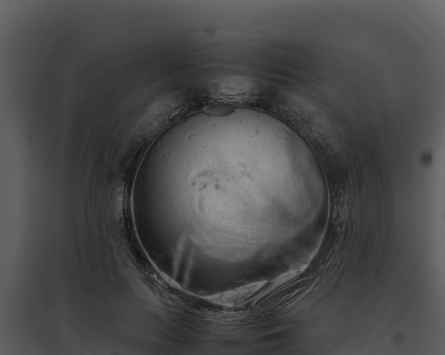 X0000095690647200801151149