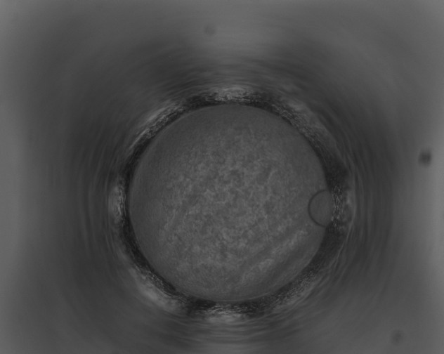 X0000095690648200801151149