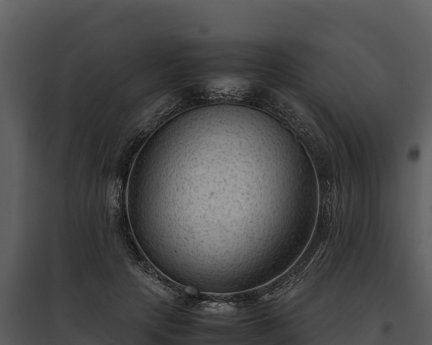 X0000095690649200801151149