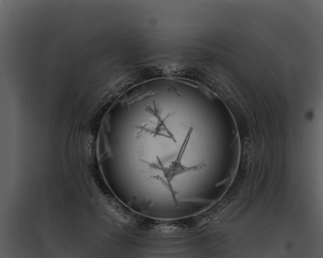 X0000095690650200801151149