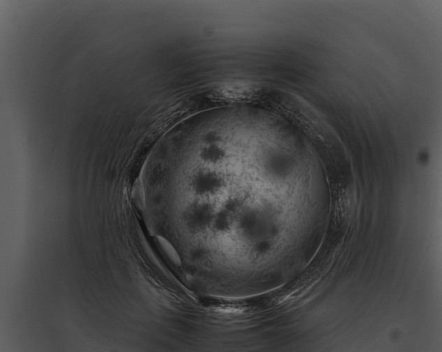 X0000095690651200801151149