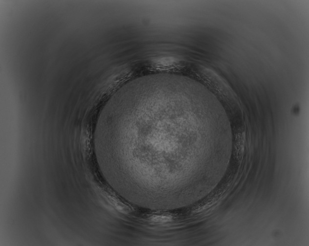 X0000095690653200801151149