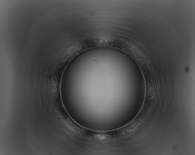 X0000095690654200801151149