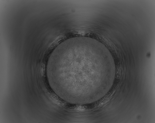 X0000095690656200801151149