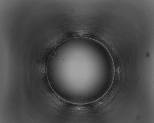 X0000095690657200801151149