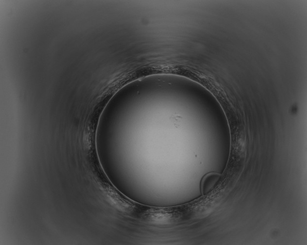 X0000095690658200801151149