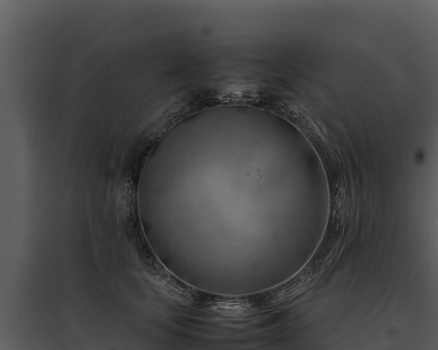 X0000095690659200801151149