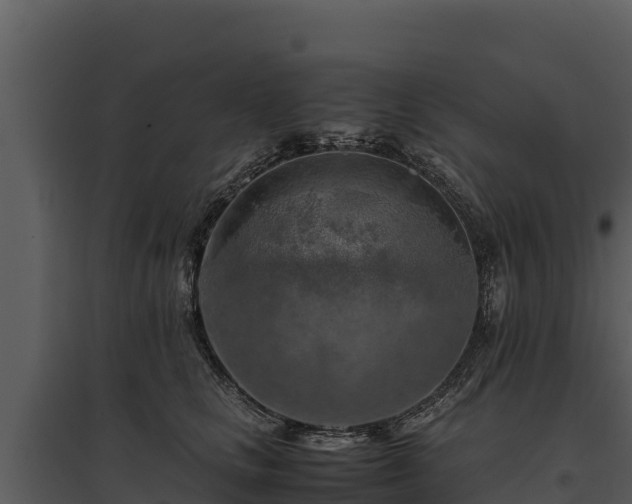 X0000095690661200801151149