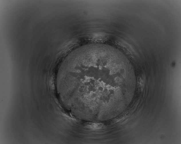 X0000095690663200801151149