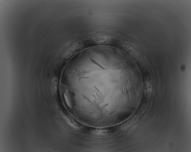 X0000095690664200801151149