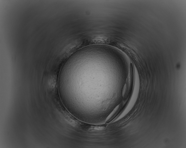 X0000095690665200801151149