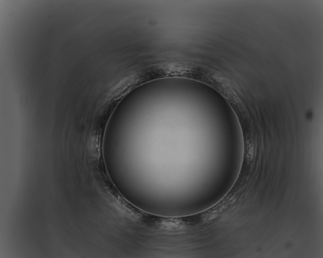 X0000095690666200801151149