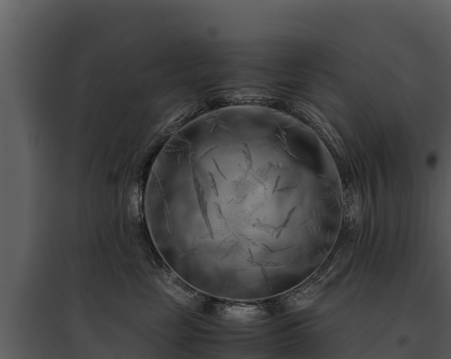 X0000095690669200801151149