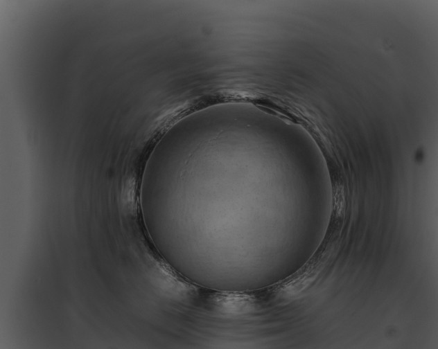 X0000095690670200801151149