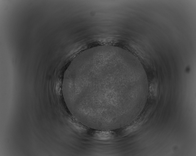 X0000095690671200801151150