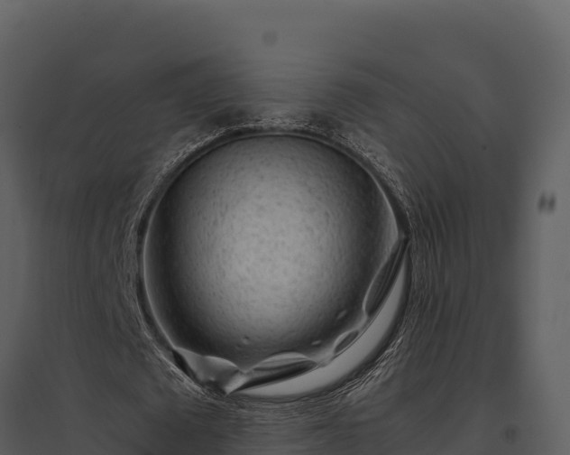 X0000095690673200801151149