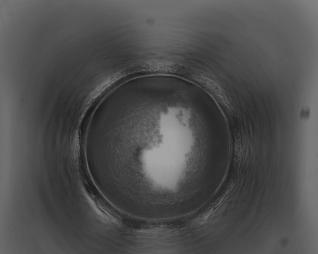 X0000095690674200801151149
