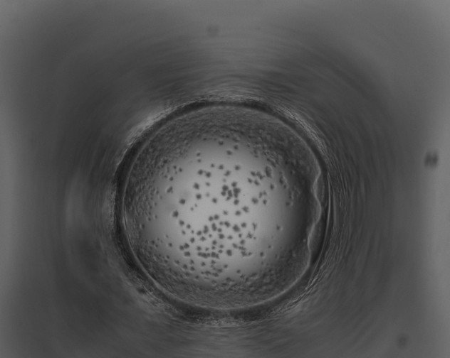 X0000095690675200801151149