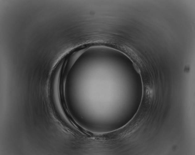 X0000095690676200801151149