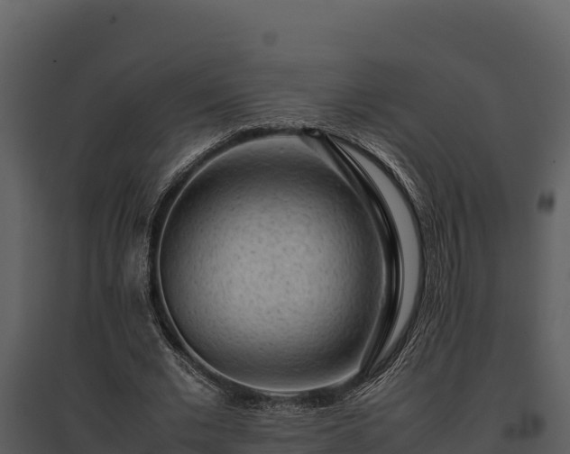 X0000095690677200801151149