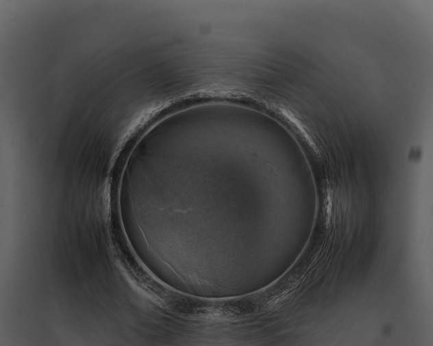 X0000095690678200801151149