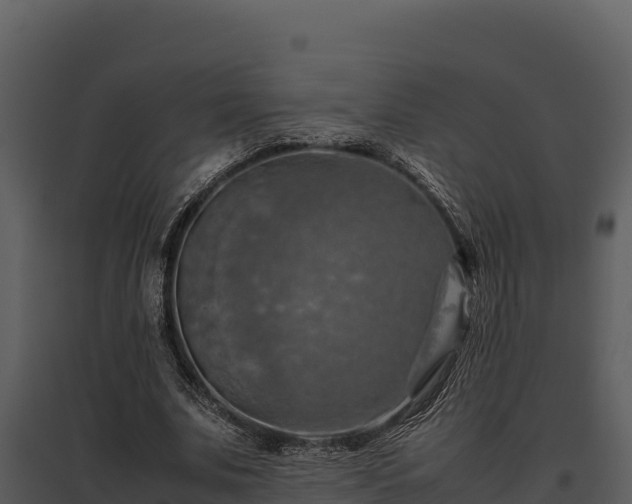 X0000095690679200801151149