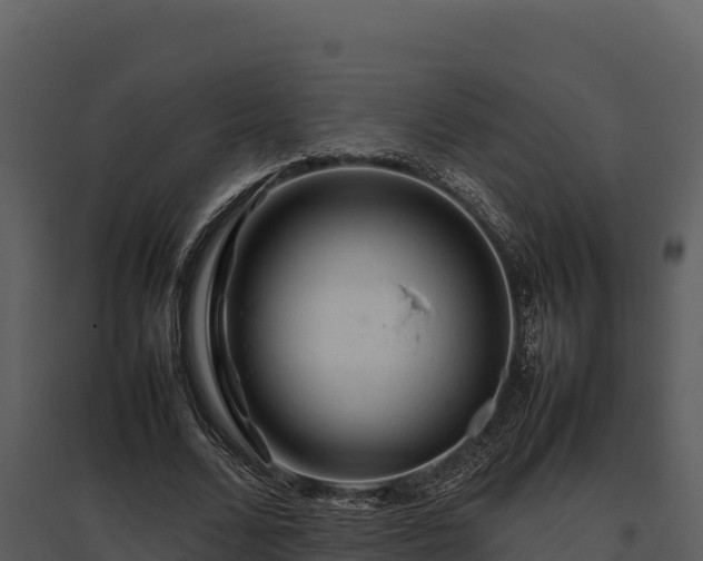 X0000095690680200801151149