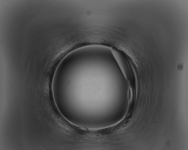 X0000095690681200801151149