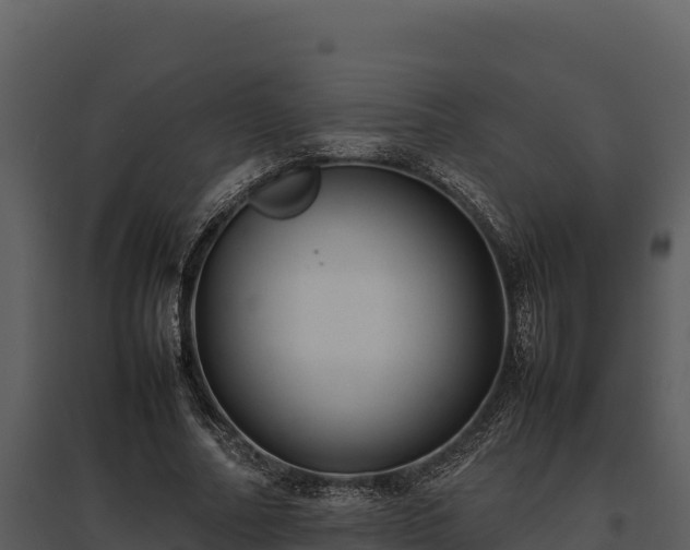 X0000095690682200801151149