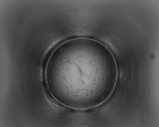 X0000095690684200801151149