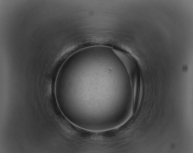 X0000095690685200801151149