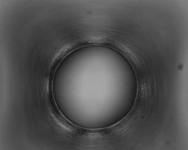 X0000095690686200801151149