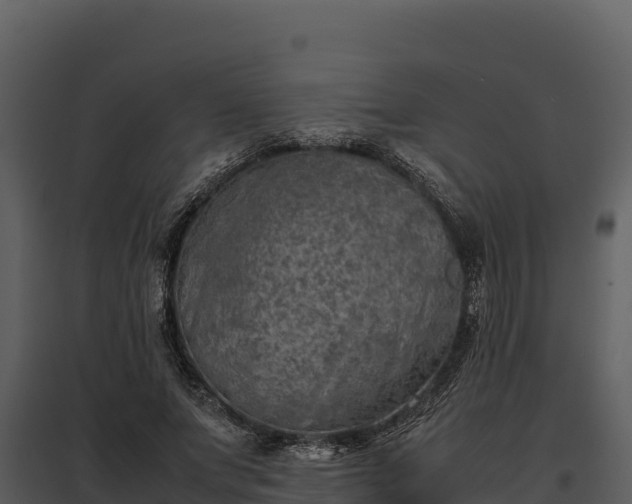 X0000095690687200801151149