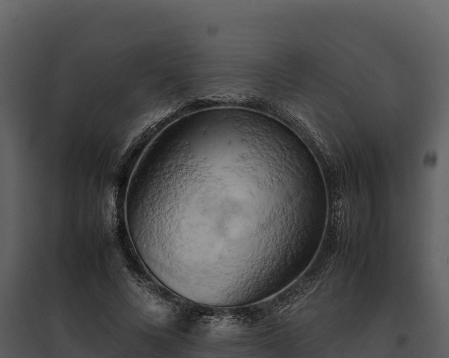 X0000095690688200801151149