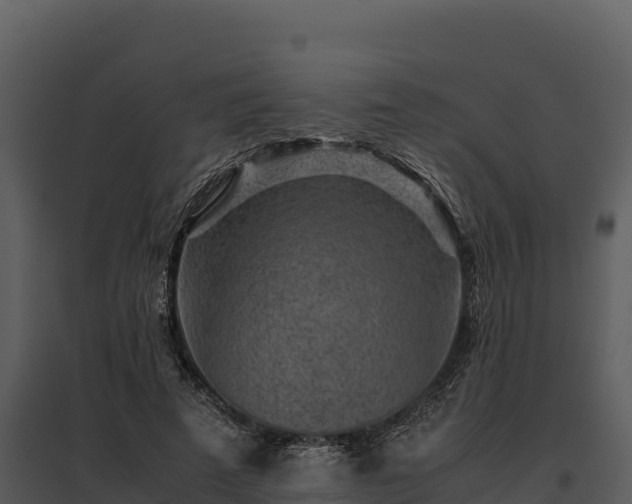 X0000095690689200801151149