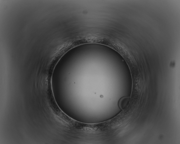 X0000095690690200801151149