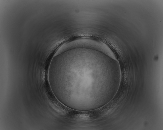 X0000095690692200801151148
